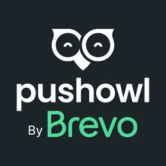 PushOwl/Brevo: Email,Push,SMS