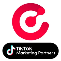 Ecomdy TikTok Ad TikTok Pixel