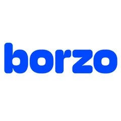 Borzo Delivery ‑ Brazil