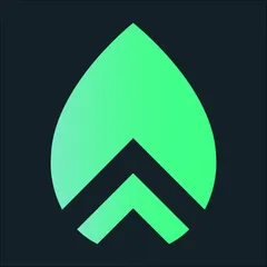 SwingTag Integration V2