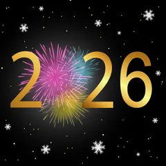 3D Seasonal Effects: New Year