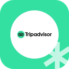 TripAdvisor Reviews