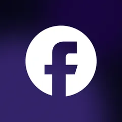 Facebook Feed Pro