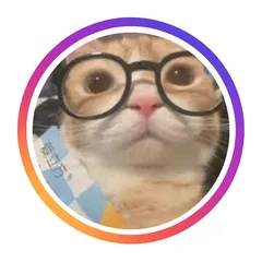 Instafeed + Stories