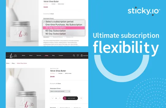 sticky.io Subscriptions screenshot