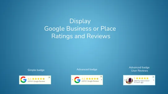 Google Reviews by Meggnotec screenshot