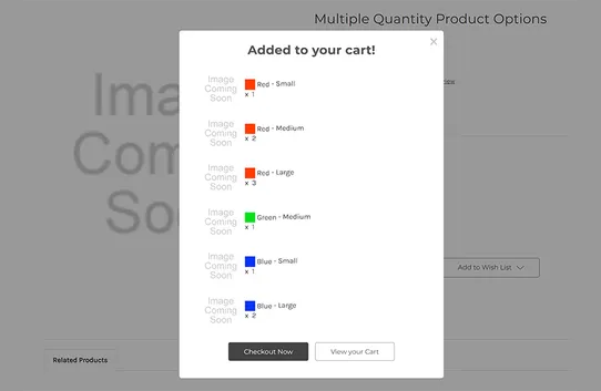 Multiple Quantity Product Options by PapaThemes screenshot