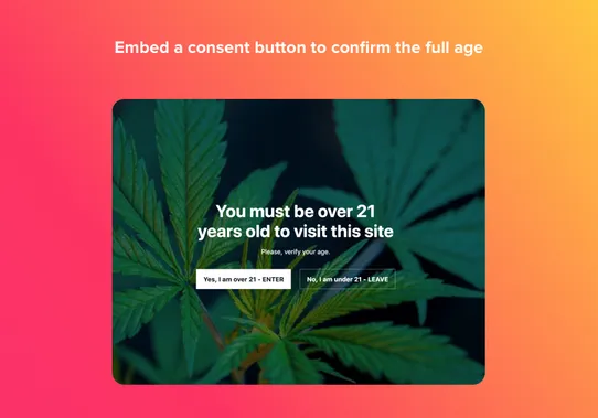 Age Verification by Elfsight screenshot