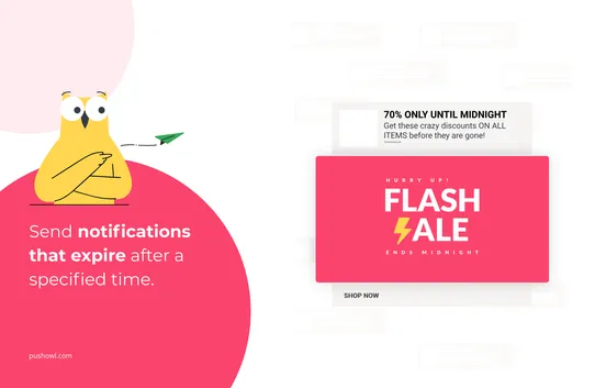 PushOwl Web Push Notifications screenshot
