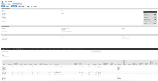 NetSuite ERP Connector by BigSynapps screenshot