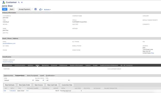 NetSuite ERP Connector by BigSynapps screenshot