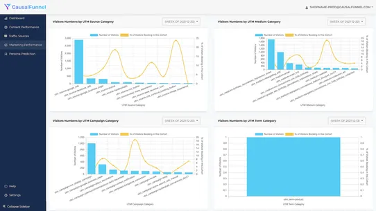 CausalFunnel AI screenshot