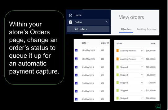 Payment Capture by Limon Labs screenshot