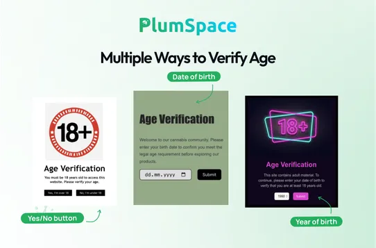 Age Verification 18+ by PlumSpace screenshot