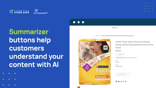 SummarizerGPT screenshot