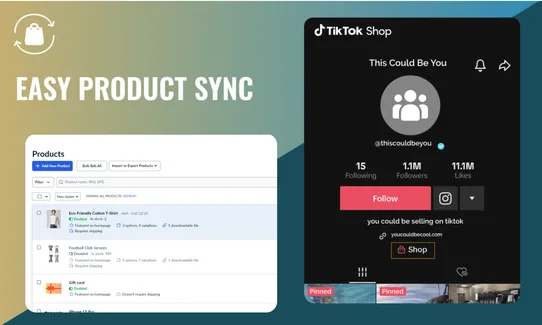 Tik Tok Shop Connector by Silk screenshot