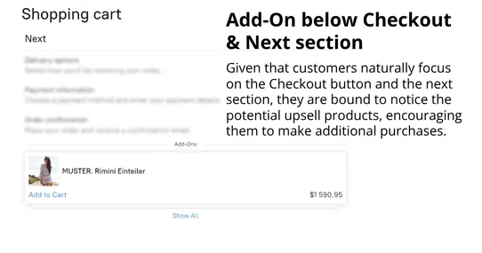 Product Add-on Genius: Elevate Your Cart Experience with Versatile Add-ons screenshot