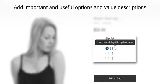 Advanced Product Options: Dependable Options, Color/Image Swatch, Option Descriptions, and more screenshot