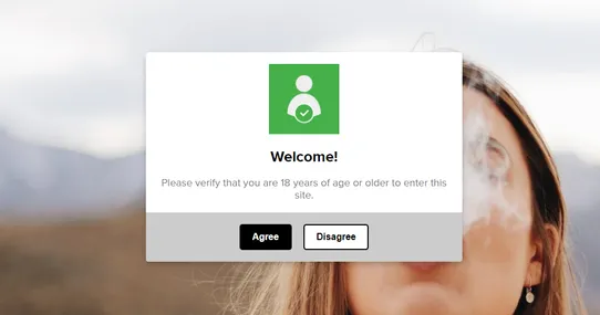 Age Verification Popup (18+) screenshot