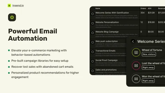 InSend Email Automation screenshot