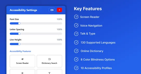AxOrigin Accessibility Widget screenshot