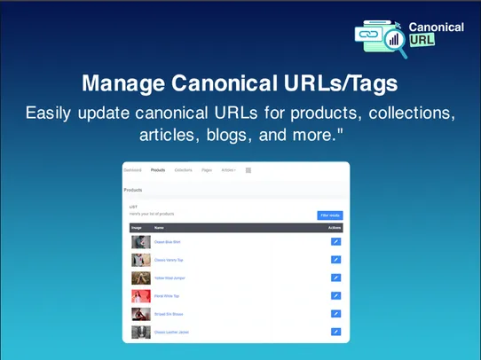 Canonical Tag URL for SEO screenshot