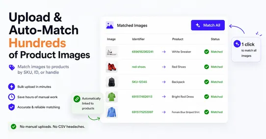 BL Bulk Product Image Upload screenshot