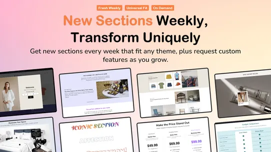 Iconic Section: Theme Sections screenshot