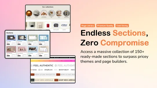 Iconic Section: Theme Sections screenshot