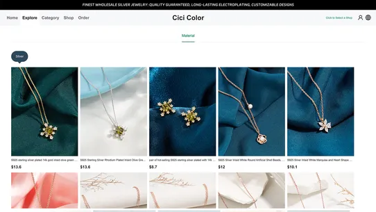 Cici Color Silver Dropshipping screenshot