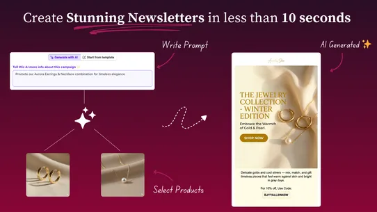 Wiz AI Abandoned Cart Recovery screenshot