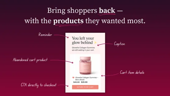 Wiz AI Abandoned Cart Recovery screenshot