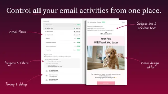 Wiz AI Abandoned Cart Recovery screenshot