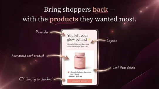 Wiz AI Abandoned Cart Recovery screenshot