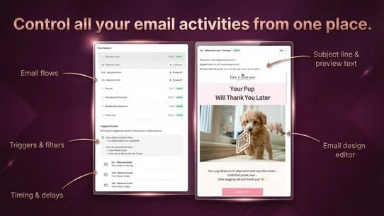 Wiz AI Abandoned Cart Recovery screenshot