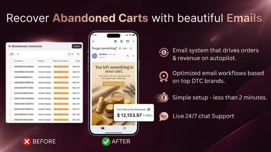 Wiz AI Abandoned Cart Recovery screenshot