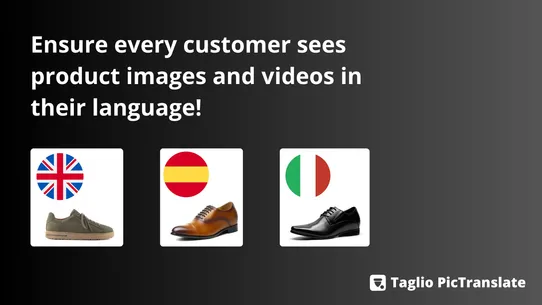 Taglio PicTranslate screenshot
