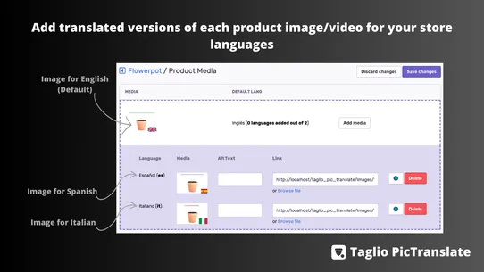 Taglio PicTranslate screenshot