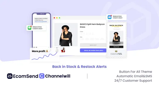 EcomSend Back in Stock Alert screenshot