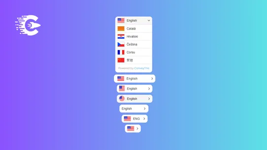 ConveyThis:AI Store Translator screenshot