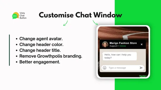 Vista Messaging Chat Widget screenshot