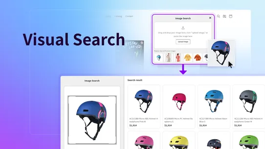 BIRSE: Visual Search screenshot