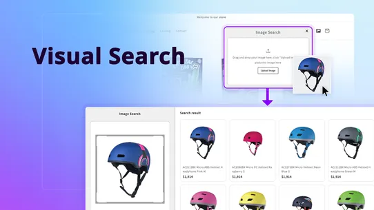 BIRSE: Visual Search screenshot