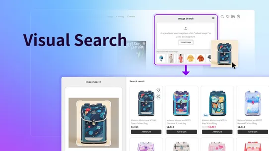 BIRSE: Visual Search screenshot