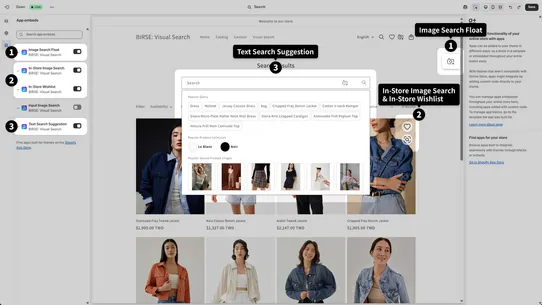BIRSE: Visual Search screenshot