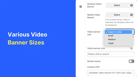 Viddy: Clickable Video Banner screenshot