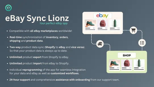 eBay Sync LionzApps screenshot