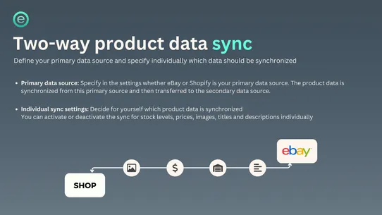 eBay Sync LionzApps screenshot