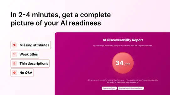 Recomaze: AI Ready Sales Agent screenshot