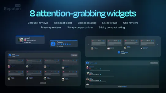 Reputon Facebook Reviews screenshot